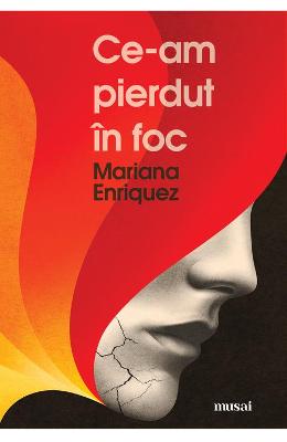 Ce-am pierdut in foc – Mariana Enriquez – Literatura Universala