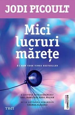 Mici lucruri marete – Jodi Picoult – Literatura Universala