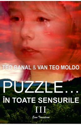 Puzzle... in toate sensurile Vol. 3 - Teo Banal