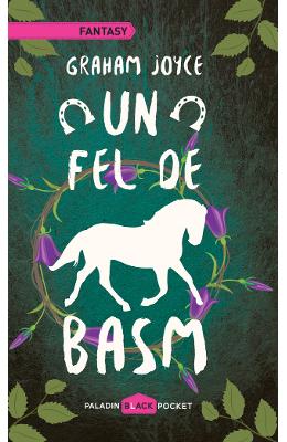 Un fel de basm - Graham Joyce