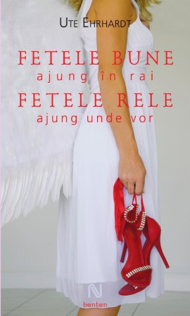 Fetele bune ajung in rai fetele rele ajung unde vor (paperback)