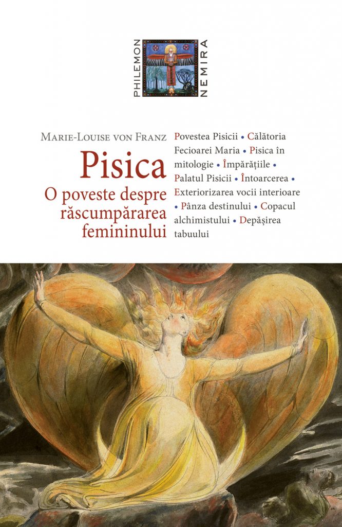 Pisica