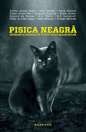 Pisica neagra